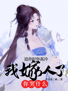 宝贝双龙